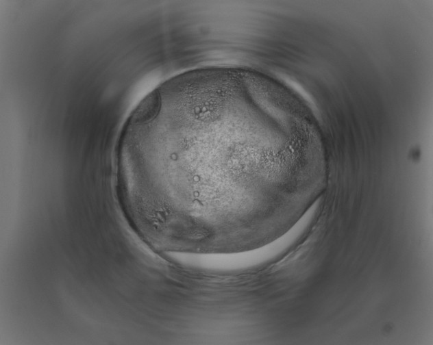 X0000090621467200707311233