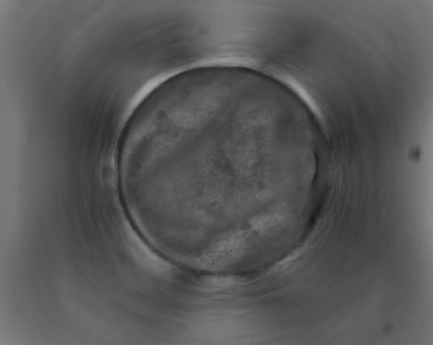 X0000090621468200707311233
