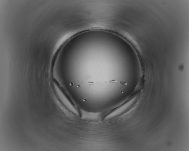 X0000090621469200707311233