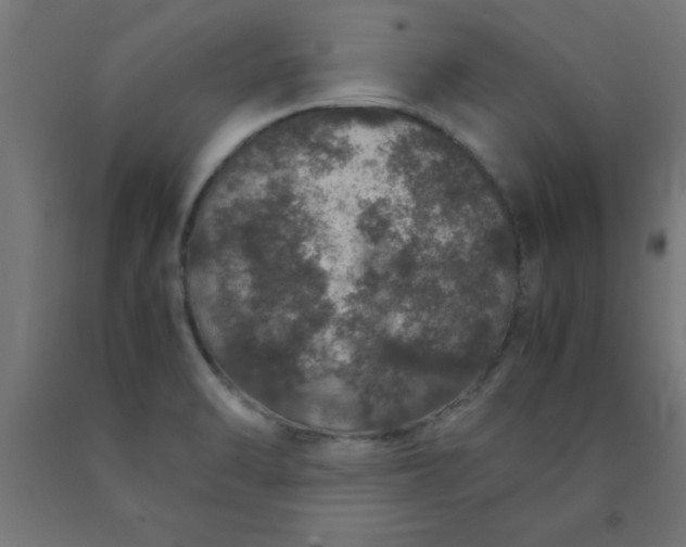 X0000090621470200707311233