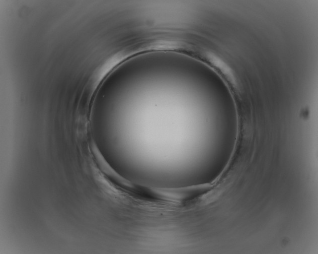 X0000090621473200707311233