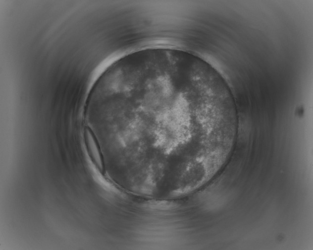 X0000090621474200707311233