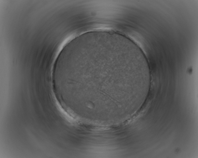 X0000090621475200707311233