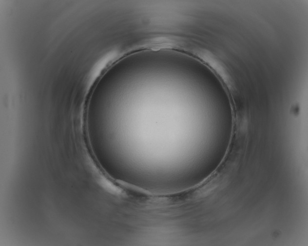 X0000090621477200707311233