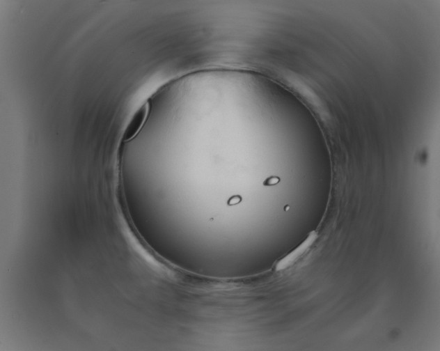X0000090621479200707311233