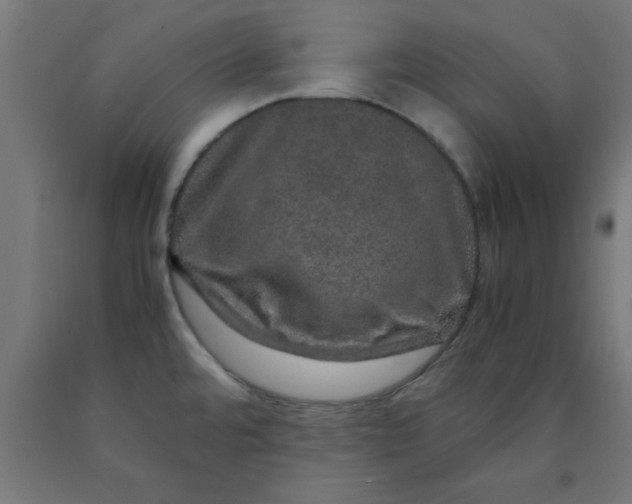 X0000090621480200707311233