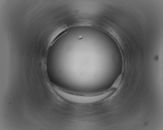 X0000090621481200707311233