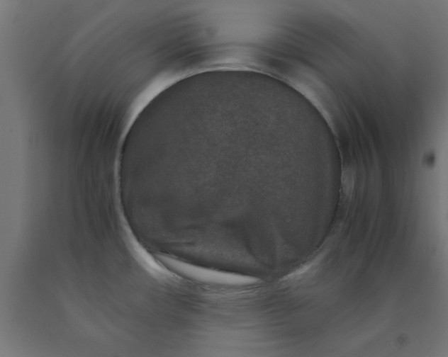 X0000090621482200707311233