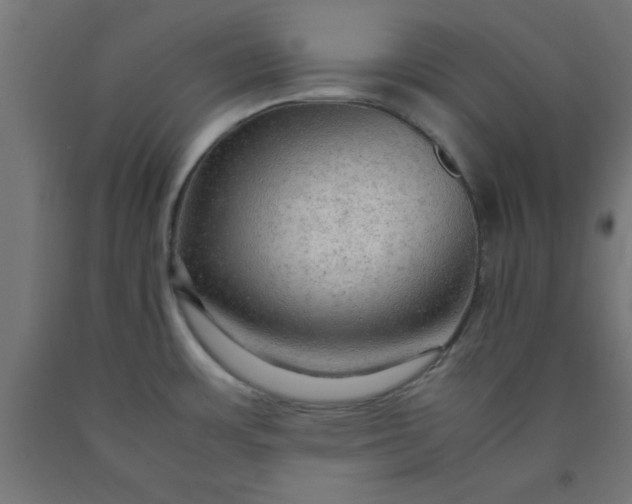 X0000090621483200707311233