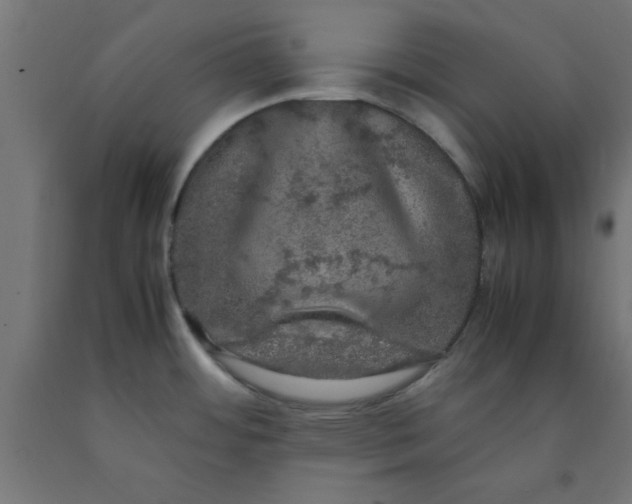 X0000090621484200707311233