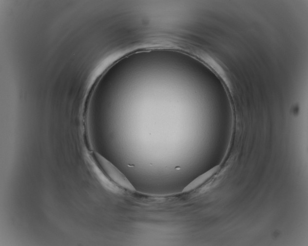 X0000090621485200707311233