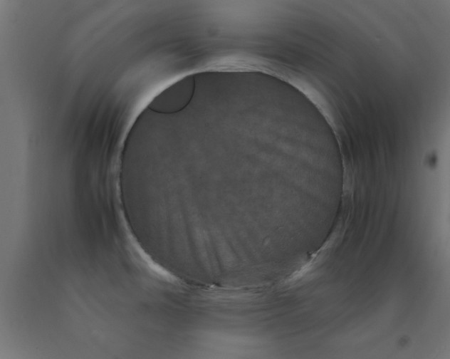 X0000090621486200707311233