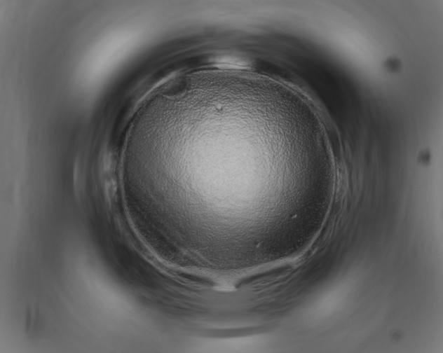 X0000090621487200707311233