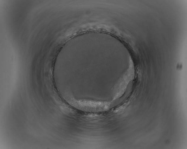 X0000090621489200707311232