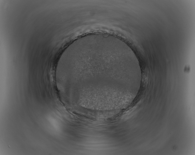 X0000090621490200707311232