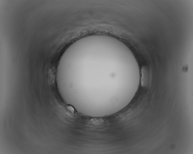 X0000090621491200707311232