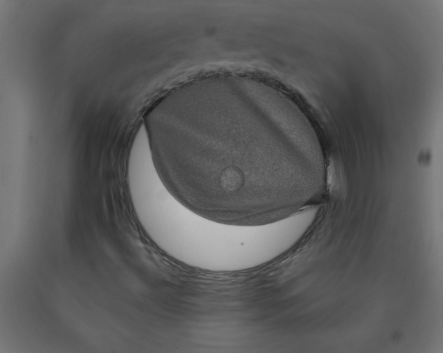 X0000090621492200707311232