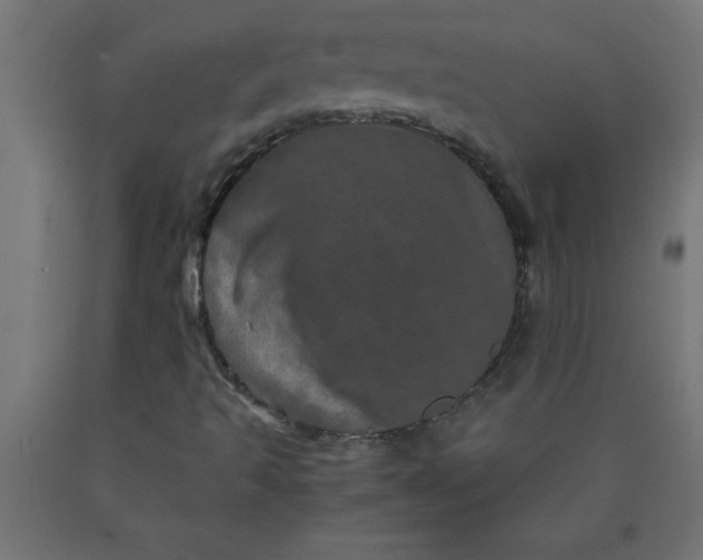 X0000090621493200707311232