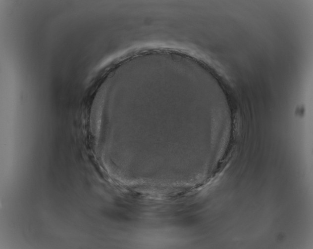 X0000090621494200707311232