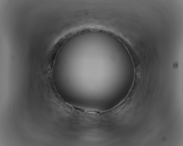 X0000090621495200707311232