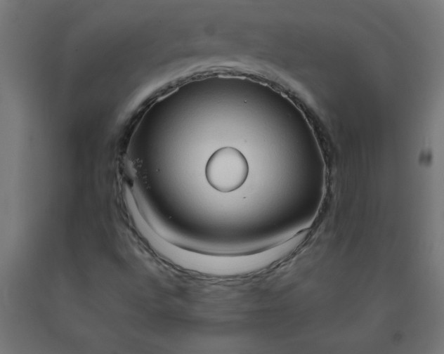 X0000090621496200707311232