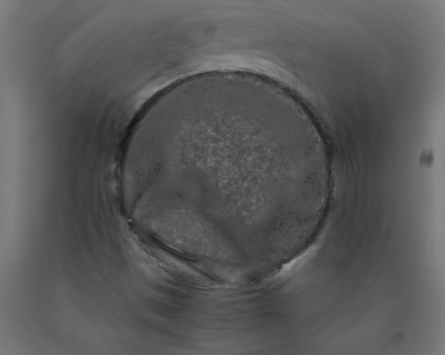 X0000090621497200707311232