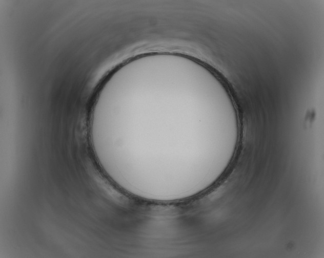 X0000090621498200707311232