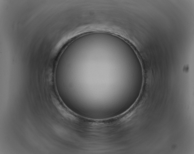 X0000090621499200707311232