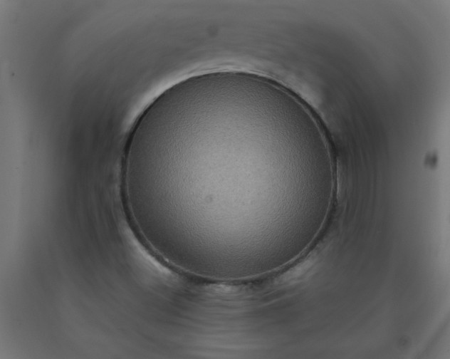 X0000090621500200707311232