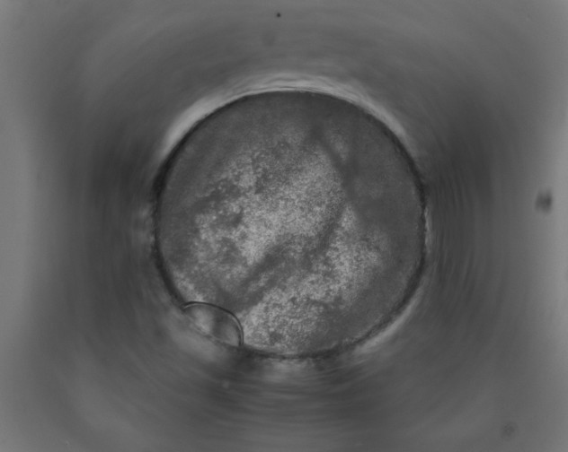 X0000090621501200707311232