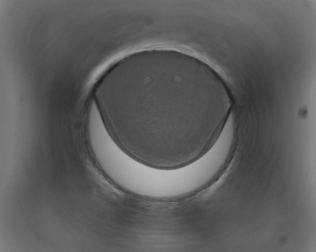 X0000090621502200707311232