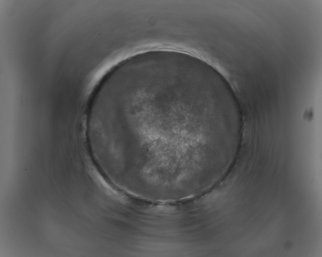 X0000090621503200707311232