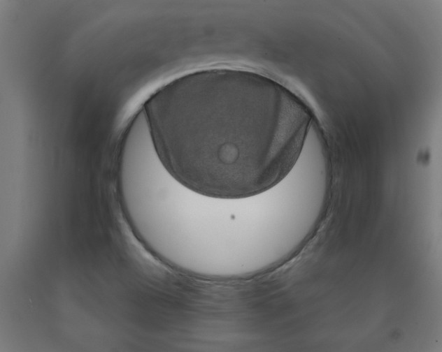 X0000090621504200707311233