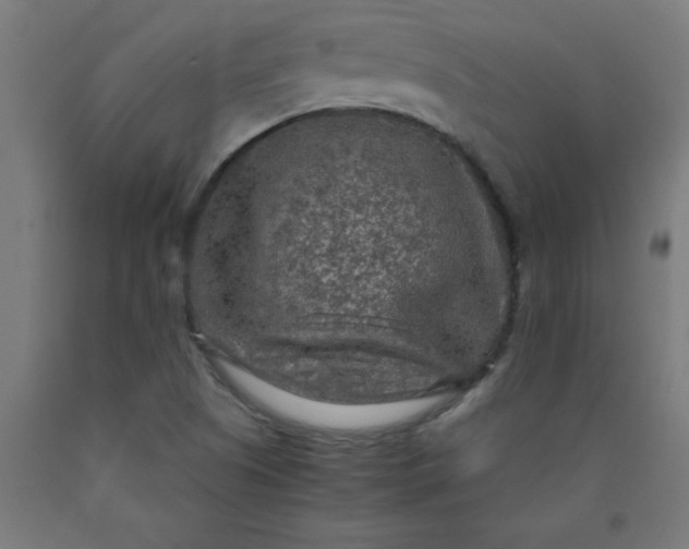 X0000090621505200707311233