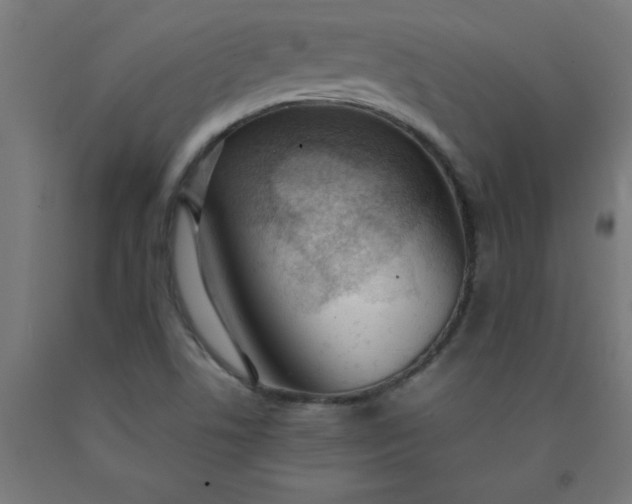 X0000090621506200707311233