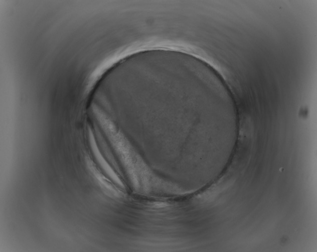 X0000090621507200707311233