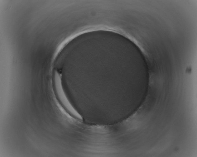 X0000090621508200707311233