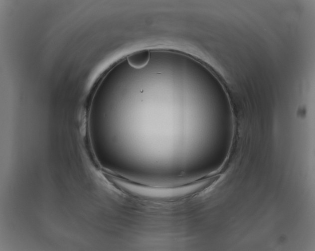 X0000090621510200707311233