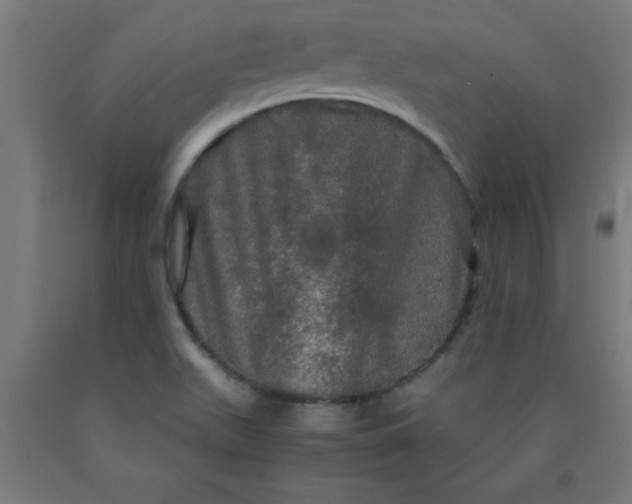 X0000090621511200707311233
