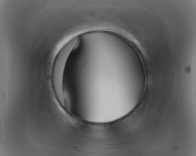 X0000090621512200707311233