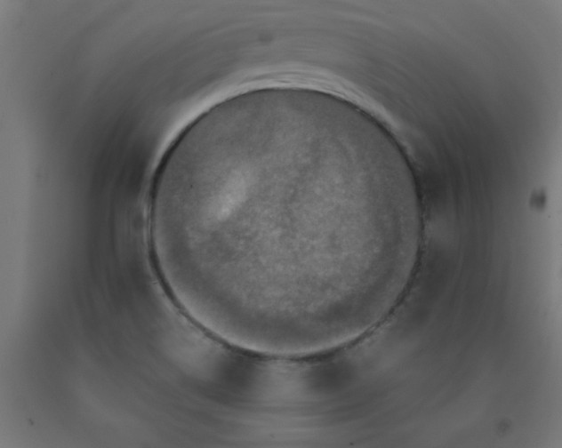 X0000090621514200707311233