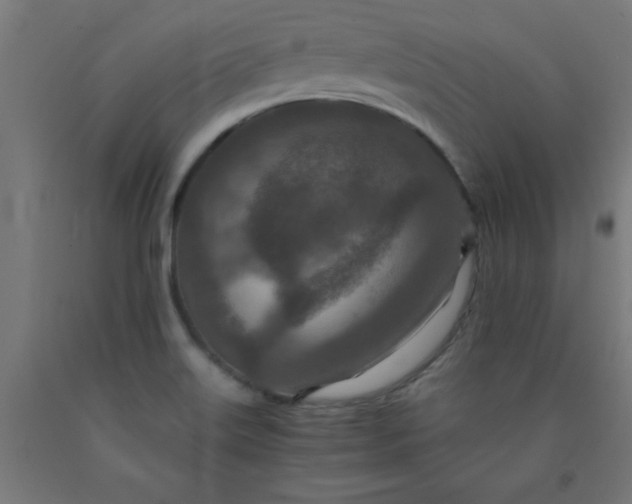 X0000090621515200707311233