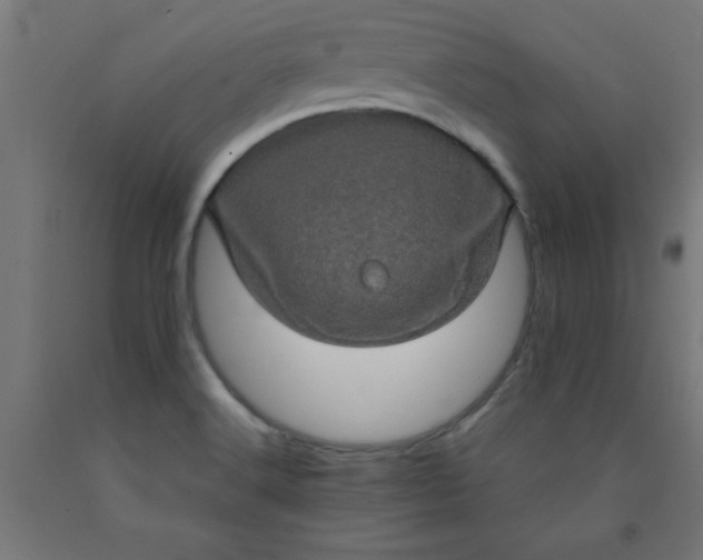 X0000090621516200707311233