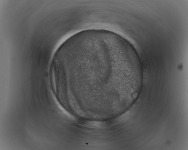 X0000090621517200707311233