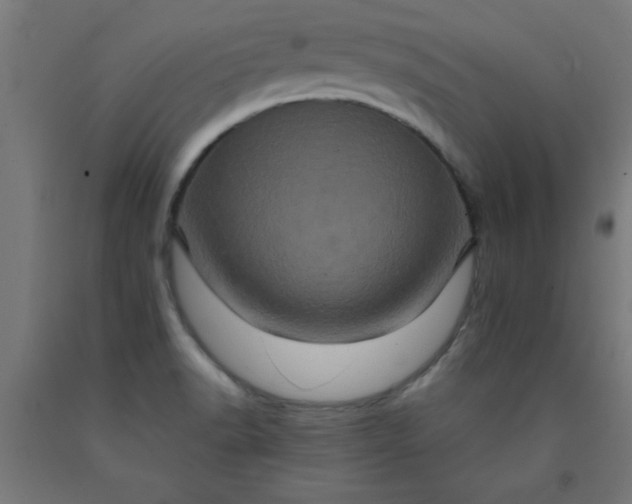 X0000090621518200707311233