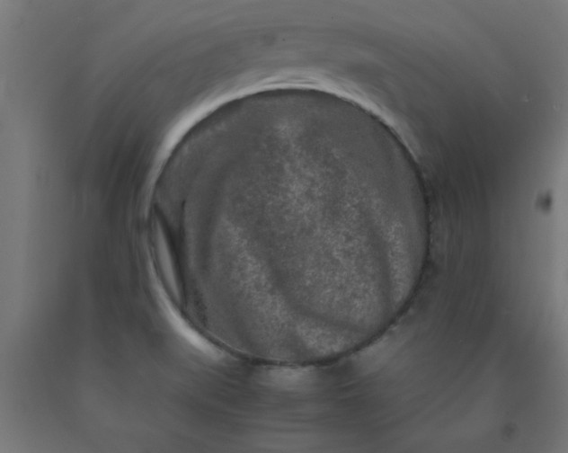 X0000090621519200707311233