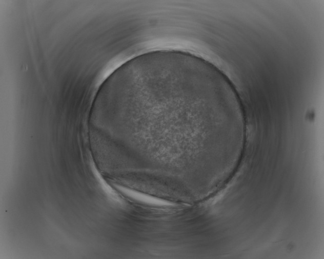 X0000090621521200707311233