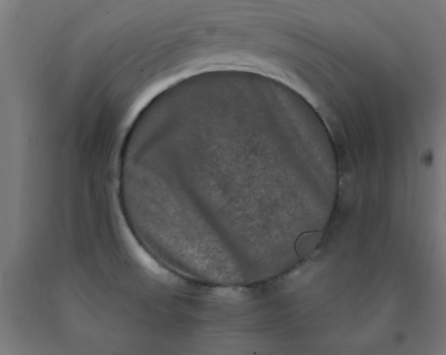 X0000090621523200707311233