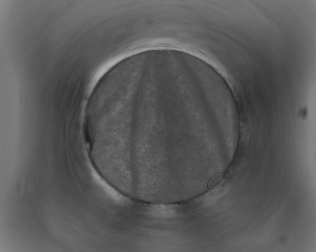 X0000090621527200707311233