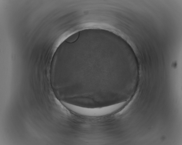 X0000090621529200707311233